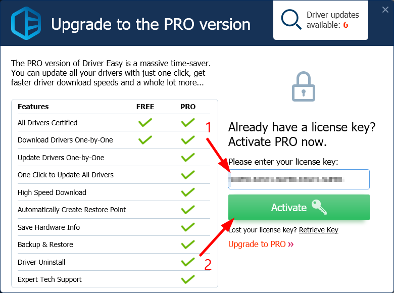 upgrade diver easy using driver easy pro key