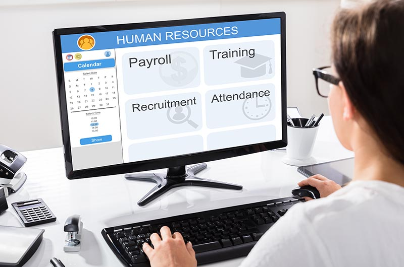 best human resource software for small business